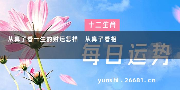 从鼻子看一生的财运怎样 从鼻子看相